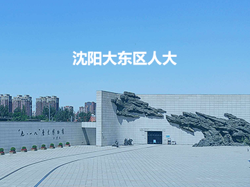 沈阳大东区人大代表履职服务平台