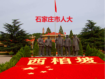 石家庄市人大数字化系统