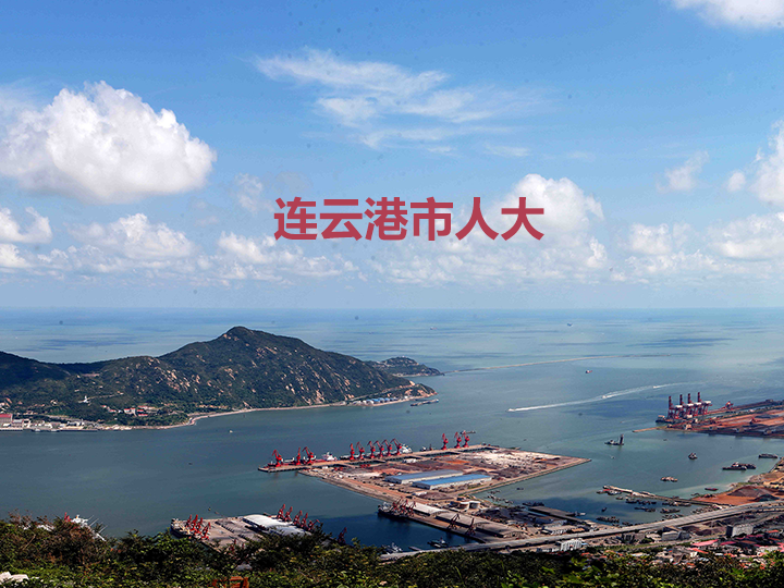 连云港市人大建议办理系统