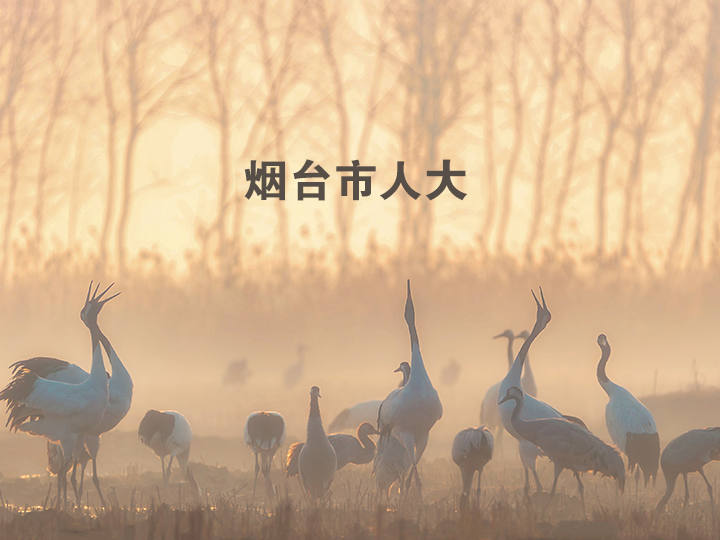 烟台市人大代表履职服务平台