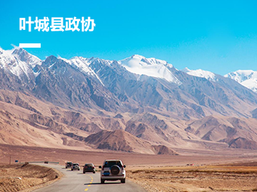 叶城县政协委员履职服务平台