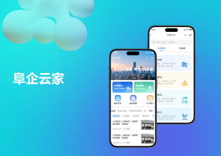 阜宁数据局阜企云家