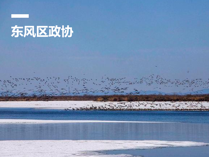 东风区&ldquo;智慧政协&rdquo;