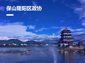 保山隆阳区政协信息化平台