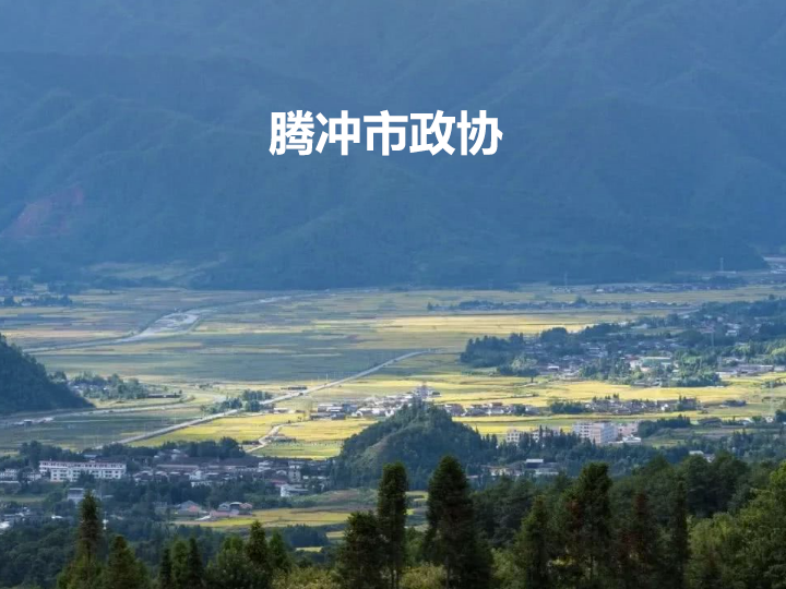 腾冲市&ldquo;智慧政协&rdquo;平台