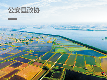 公安县政协委员履职服务平台