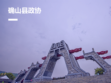 确山县政协信息化平台